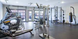 Thrive Argenta Gallery 77