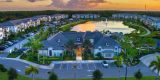 Town Treeline Gallery 32