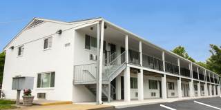 The Meadows Gallery 7