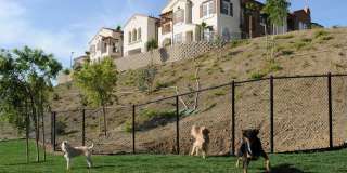 Cresta Bella Gallery 13