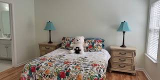 Beautiful FOUR BEDROOM Home in Mooresville Gallery 23