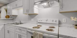 3243 Nacogdoches Gallery 8