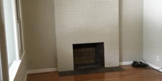 4 bedroom home close to UNR Gallery 3