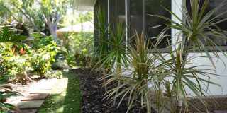 6908 ARBOR OAKS Circle Gallery 43