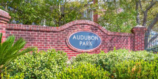 Audubon Park Gallery 19