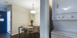 Lakeshore Apartments Gallery 31