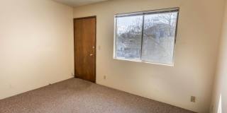 BEAUTIFULLY RENOVATED STUDIO APARTMENTS Gallery 1