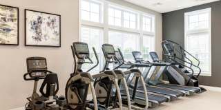 Hamilton Greene Gallery 33