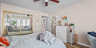 No back house! Gallery 20