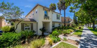 1732 Wolf Canyon Loop Gallery 43
