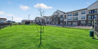 Aspire at Sherman Gallery 59