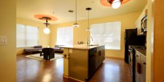 Settlement Place Gallery 340