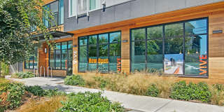 Vive Ballard Gallery 2