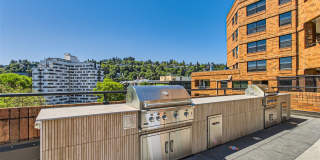 Elm Row Gallery 31