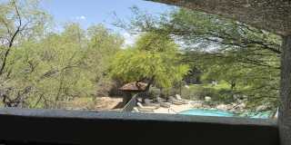 5751 N Kolb Rd Unit 38204 5751 N Kolb Rd Unit 38204 Gallery 16