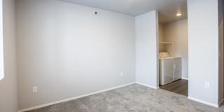 The Pitch Gallery 12