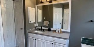 29608 TERRA VIS Gallery 13