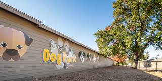 River Park by Broadmoor Gallery 23