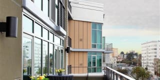 38 Dolores Gallery 17