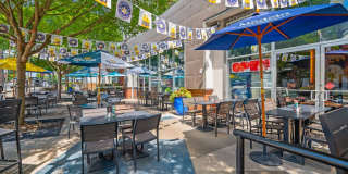 Apex West Midtown Gallery 6