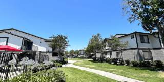 Gladstone Ridge Gallery 25