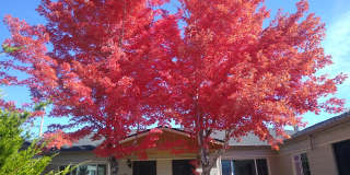 Mountain View 2 Bedroom 1 Bath Duplex on a Hill Gallery 77