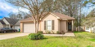45581 TRANQUIL Trace Gallery 1