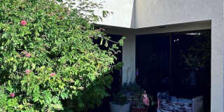 426 Forest Hills Gallery 19