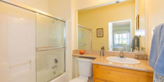 Colony Townhomes Gallery 98