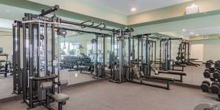 The Hudson Gallery 20