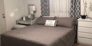 WINTER VACATION RENTAL - 4 Bedroom/1.5 Bath Gallery 16
