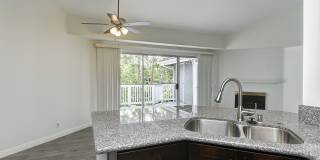 Remodeled 3 Bed Penthouse Condo Gallery 5