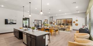 Walnut Springs Gallery 44