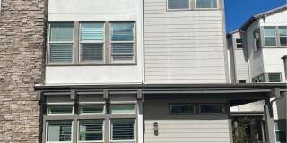 104 Spectacle Gallery 1