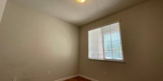 Fireplace in Living Room, Backyard Patio, Hardwood and Laminate Flooring Gallery 6