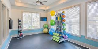 Arbor Village Gallery 21