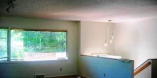 Light & Bright Dog Friendly House In A Great Location! Gallery 13