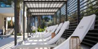 Alton Osprey Gallery 23