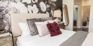 Attiva Pearland Active Living by Cortland - Senior Housing Gallery 16