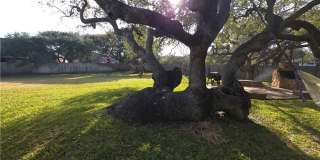 1401 Omohundro Street Gallery 3