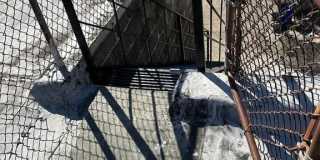 1192 YORKSHIP SQUARE Gallery 28