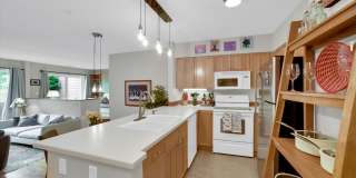 856 Walnut Street #B 856 Walnut Street #B Gallery 2