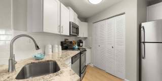 Emerald Palms Gallery 1