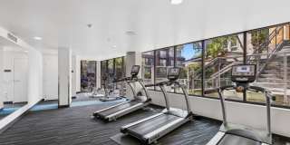 Eleanor Eleanor Gallery 36