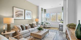 Canopy Park Gallery 28