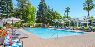 The Grove Luxury Apartments Gallery 18