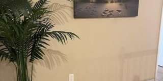 20013 Larino Loop lot: 64 Gallery 28