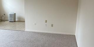 Graduate and Professional Gallery 166