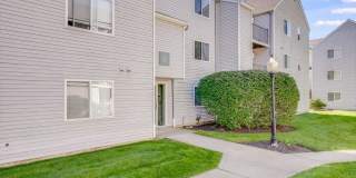 The Meadows Gallery 40