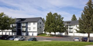 Whimsical Pig Gallery 28